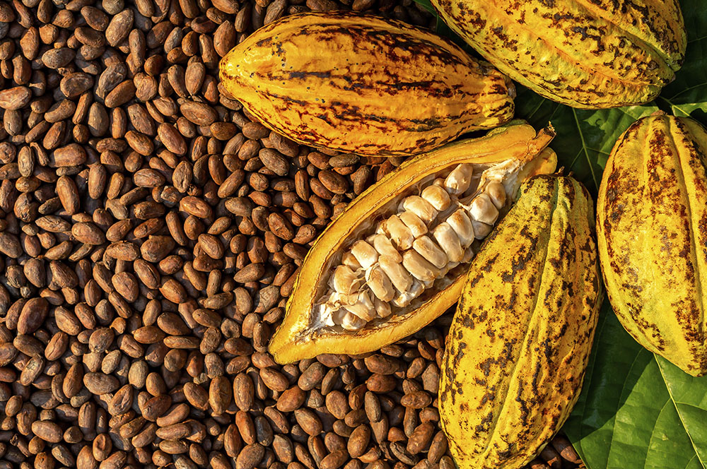 Digestão em Ordem: O Impacto Positivo no Seu Bem-Estar Intestinal - inspiração 1