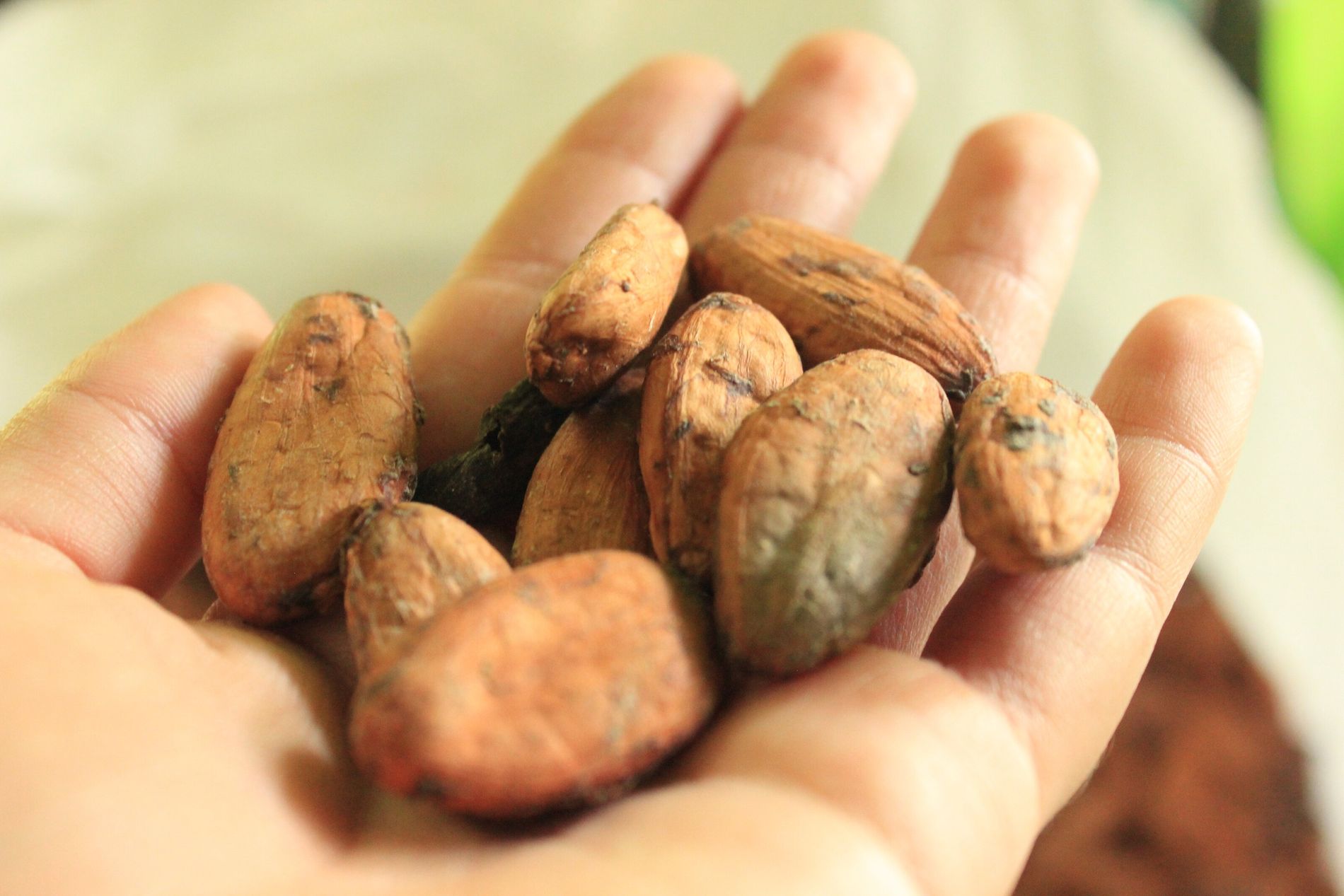 Energia na Medida Certa: Um Impulso Saudável Sem Culpa - inspiração 1