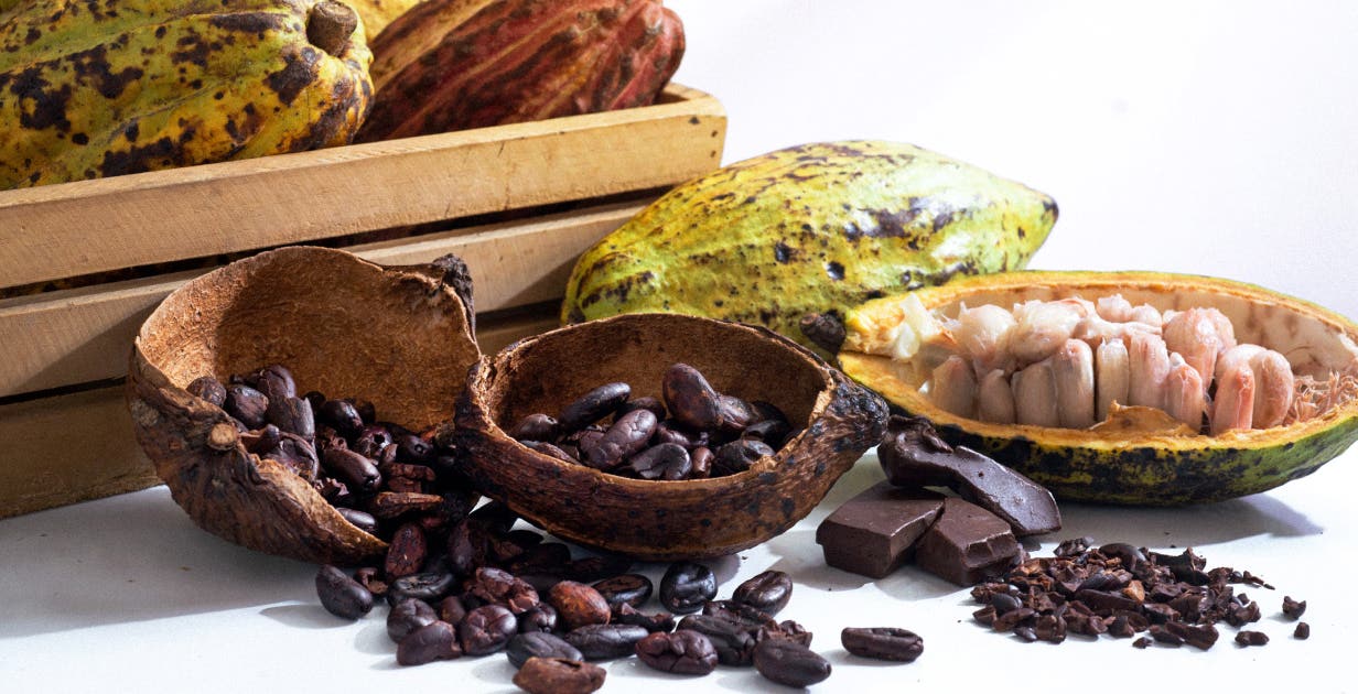 Controle do Açúcar: Aliado Discreto para Equilibrar Sua Glicemia - inspiração 2