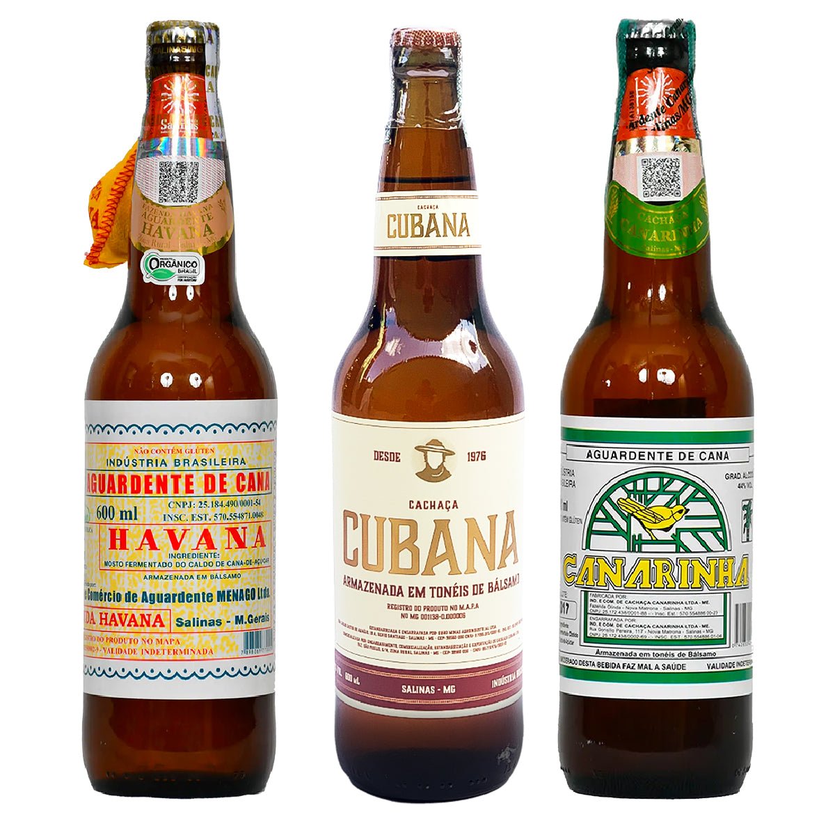 Recomendações de Consumo Saudável para Mulheres: O Equilíbrio Perfeito - inspiração 2