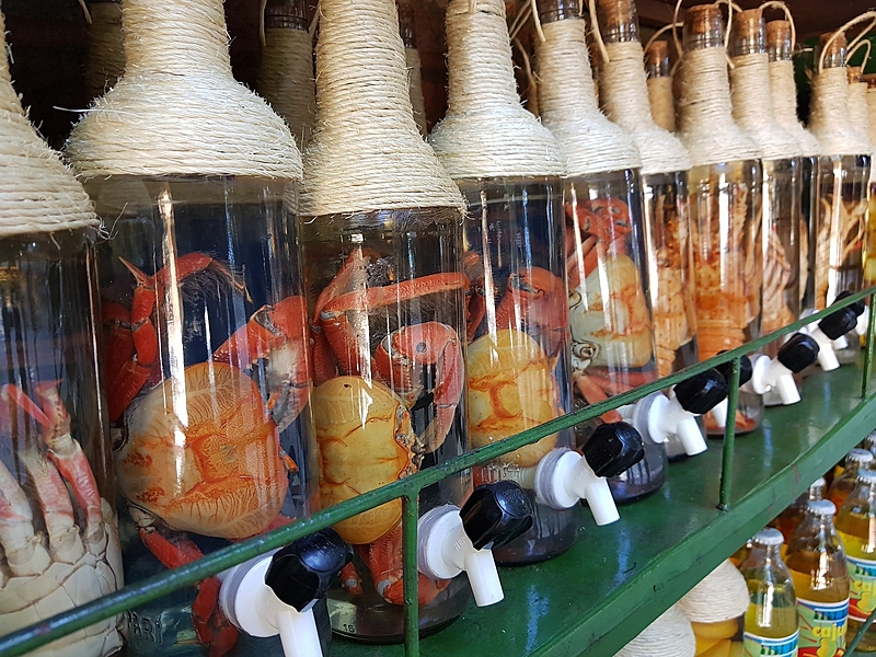 Cachaça e o Bem-Estar Mental: Um Efeito Relaxante Comprovado? - inspiração 1