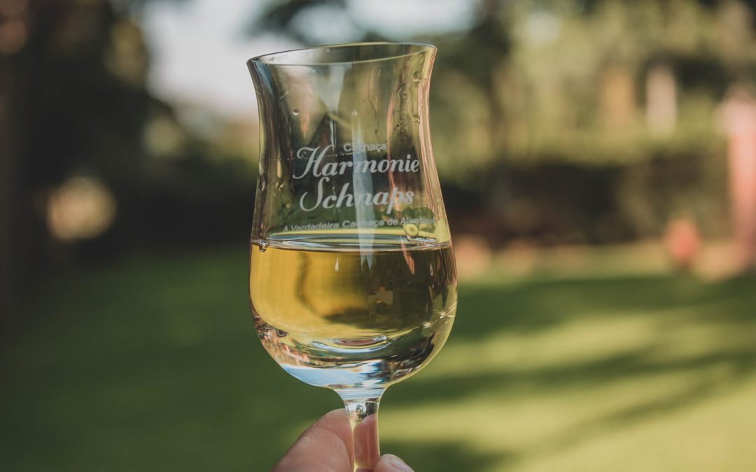 A Relação Entre Cachaça e a Prevenção de Doenças Crônicas - inspiração 1