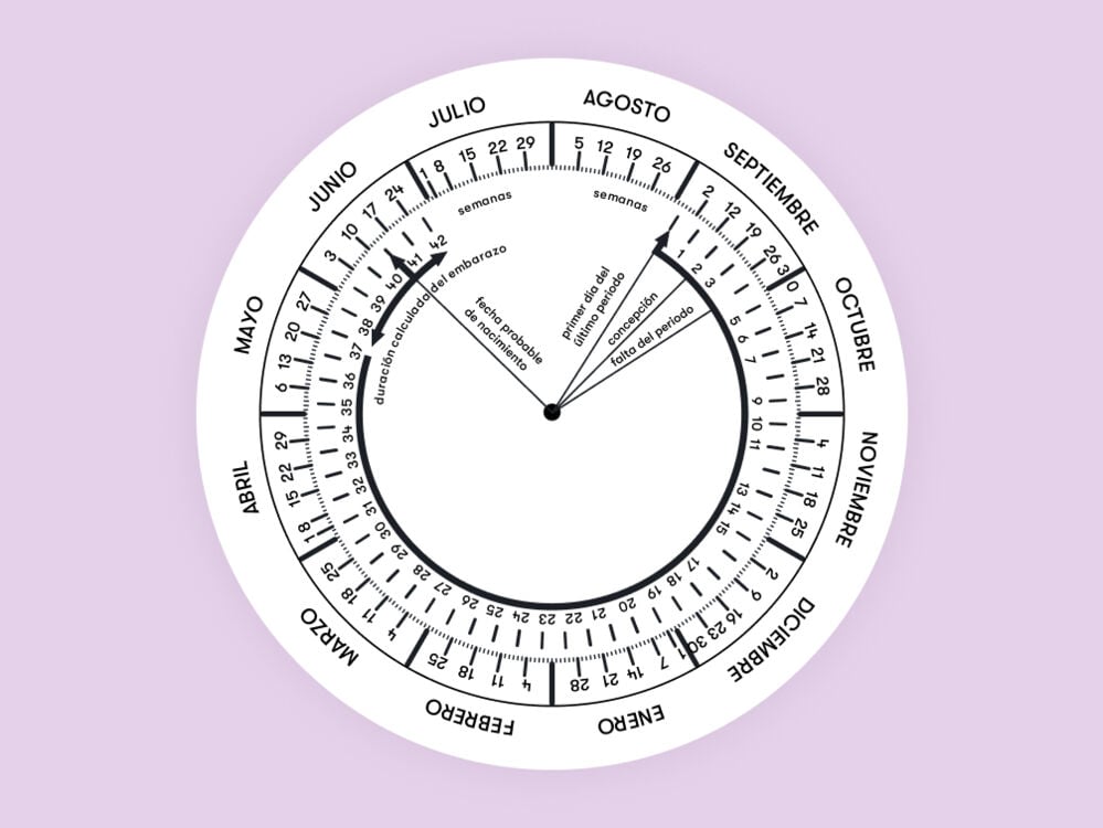 O Que é a Data Provável do Parto (DPP)? - inspiração 1