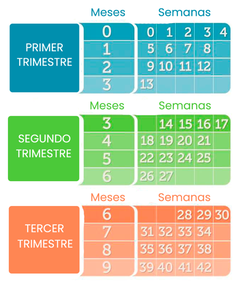 Como a Ultrassonografia Confirma a Idade Gestacional - inspiração 1