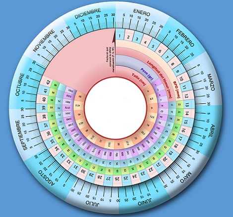 Diferenças entre Calculadoras Online e Métodos Tradicionais - inspiração 1