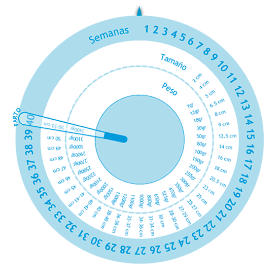 Consultando seu Médico: Complementando a Calculadora - inspiração 1