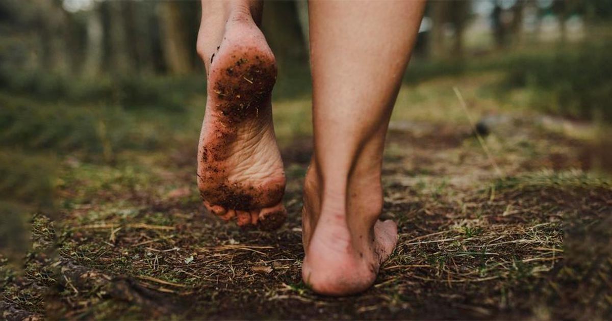 Alívio do Estresse e Melhora do Humor - inspiração 1