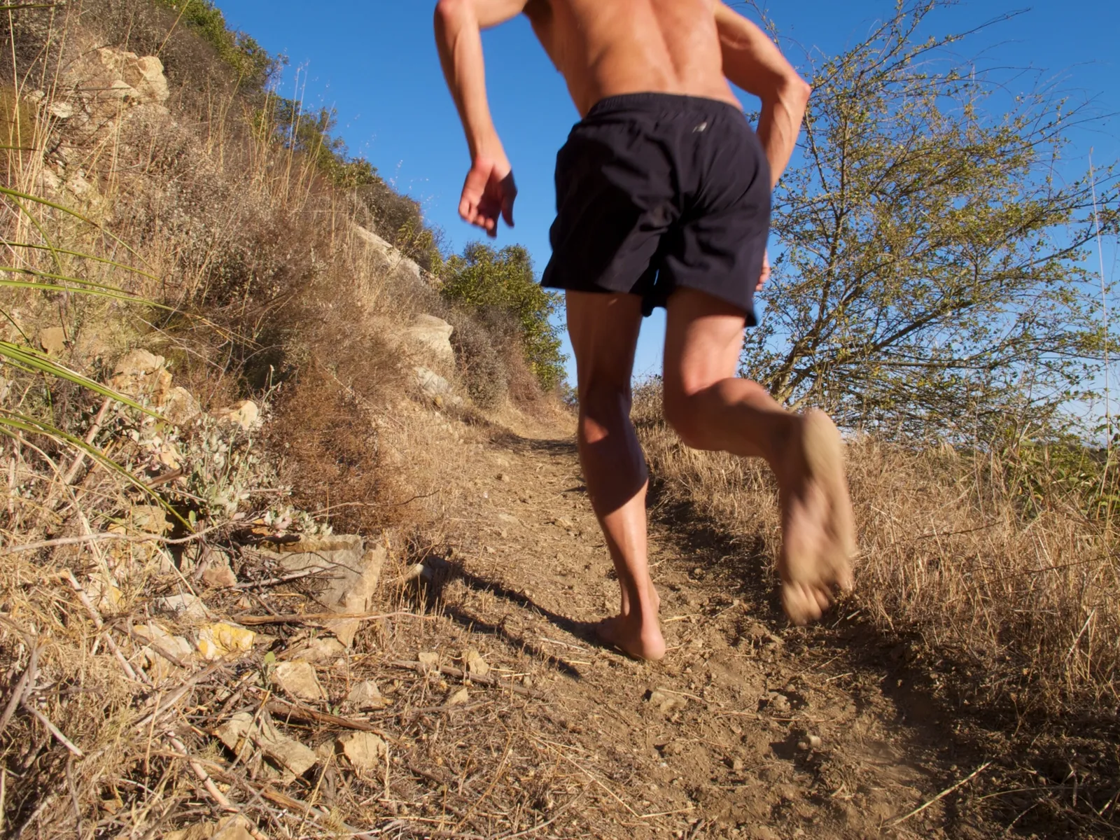 Alívio do Estresse e Melhora do Humor - inspiração 2