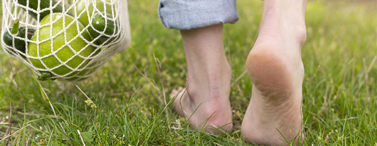 Uma Forma Natural de Exercício Físico - inspiração 2