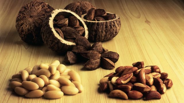 Rica em Selênio: O Poder Antioxidante que Você Precisa - inspiração 1