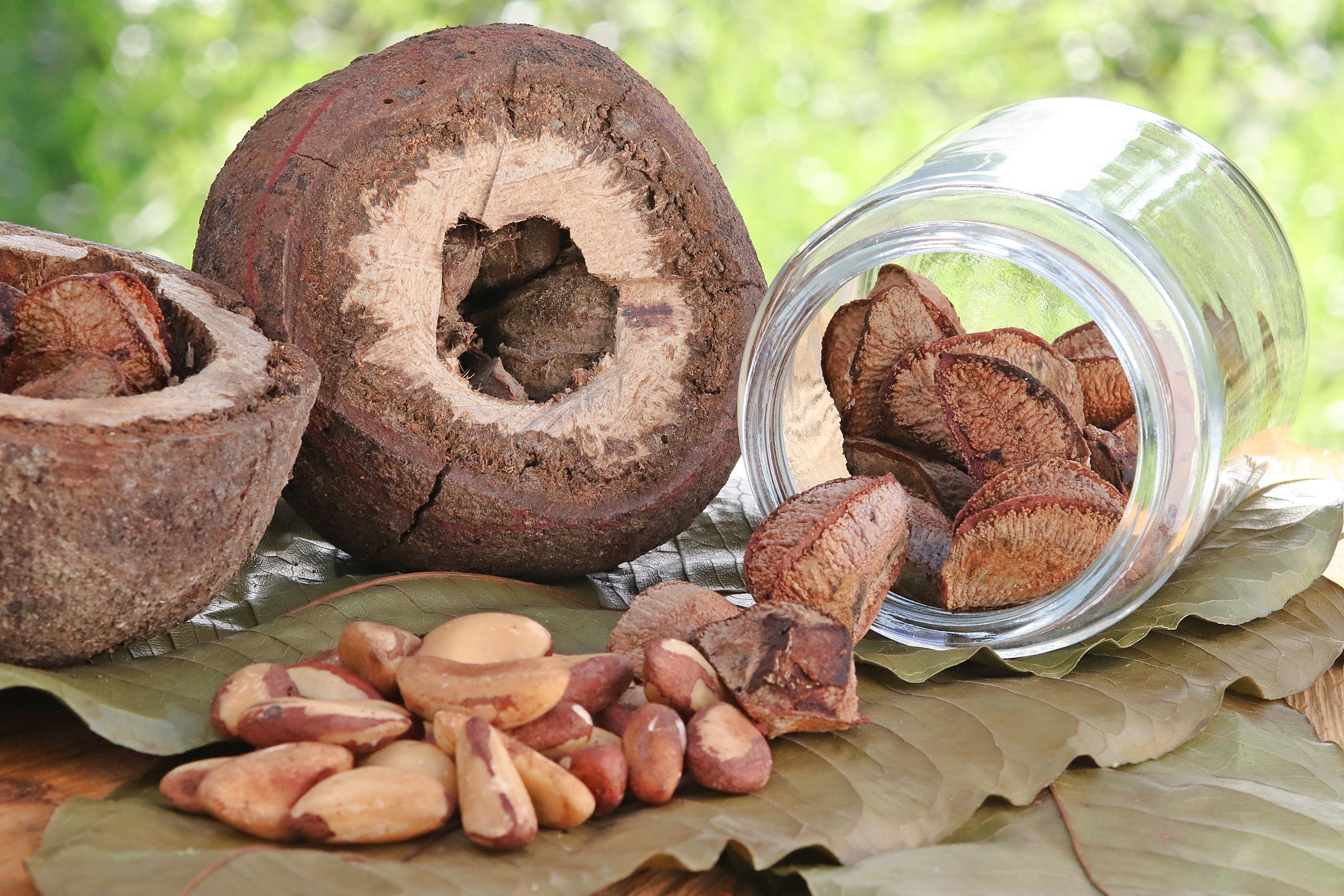 Rica em Selênio: O Poder Antioxidante que Você Precisa - inspiração 2