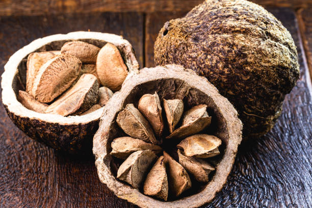 Magnésio e Outros Minerais Essenciais - inspiração 2