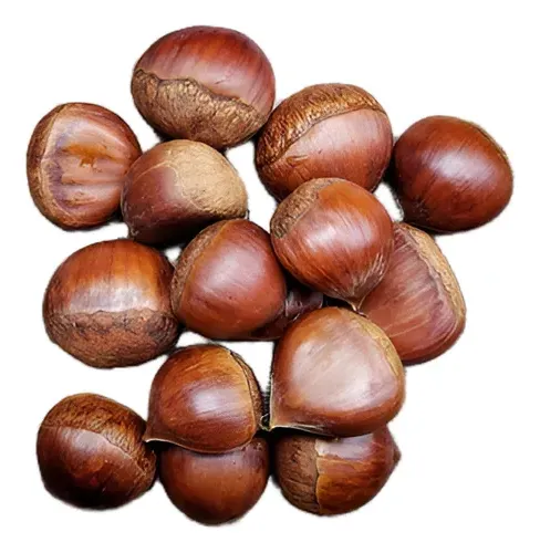 Erros Comuns ao Cozinhar Castanha Portuguesa (E Como Evitá-los!) - inspiração 1