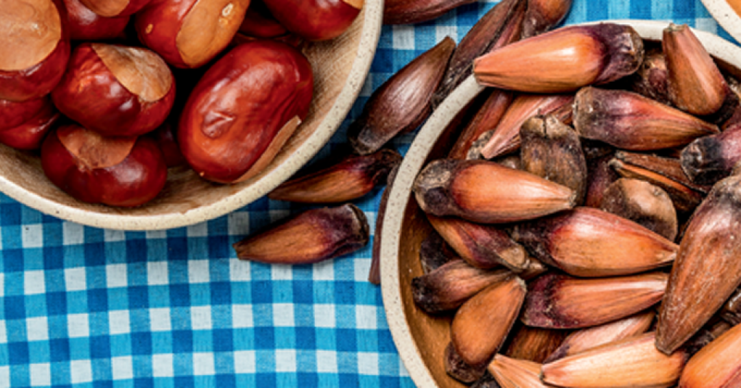 Congelando Seu Tesouro: Como Armazenar Castanhas Portuguesas para Mais Tempo - inspiração 2