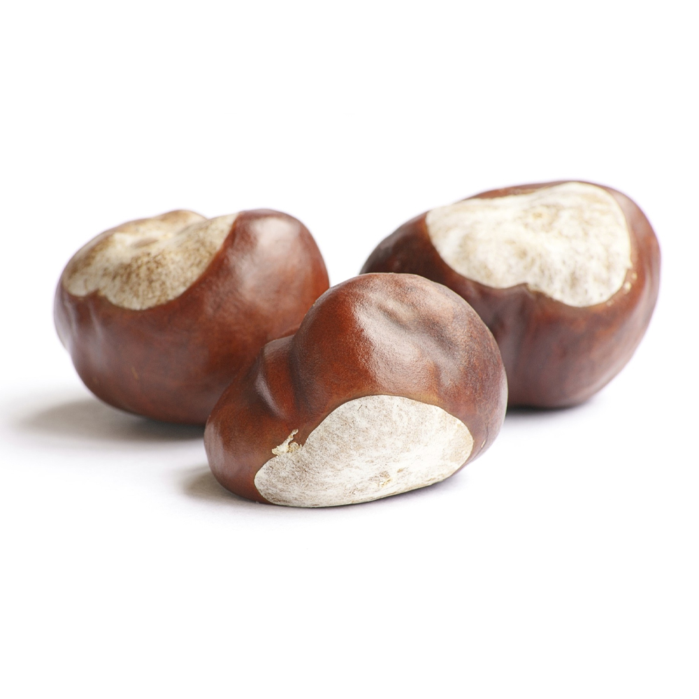 Versatilidade na Mesa: Do Doce ao Salgado, A Castanha Portuguesa Brilha - inspiração 2