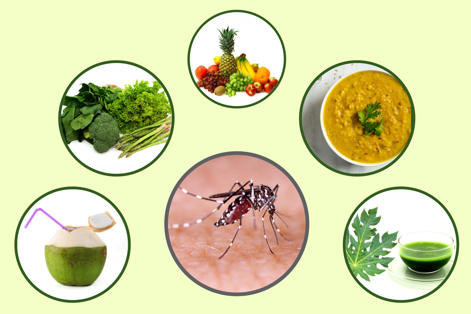 Alimentos que Ajudam a Combater a Inflamação - inspiração 1