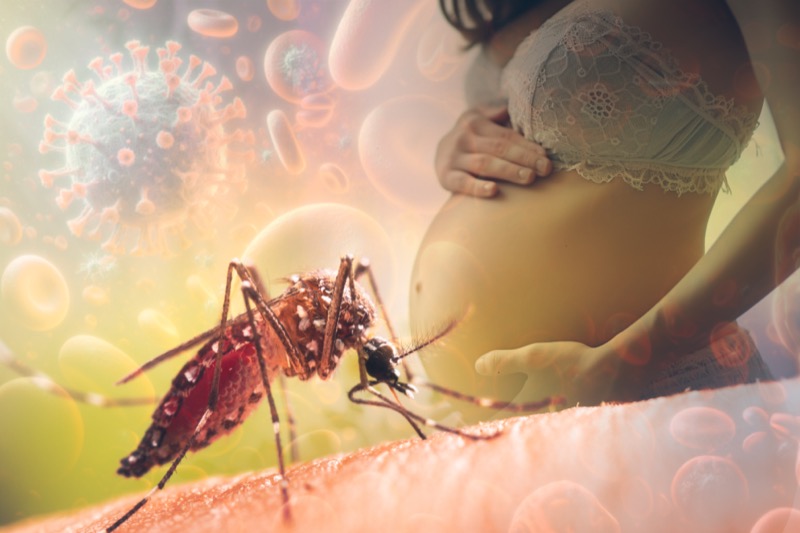 Dicas de Preparo para Facilitar a Digestão - inspiração 1