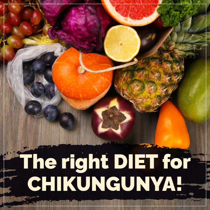 Proteínas Magras para a Reparação Muscular - inspiração 1