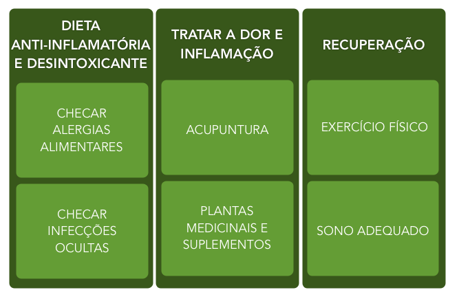Frutas e Vegetais Ricos em Vitaminas e Minerais - inspiração 1