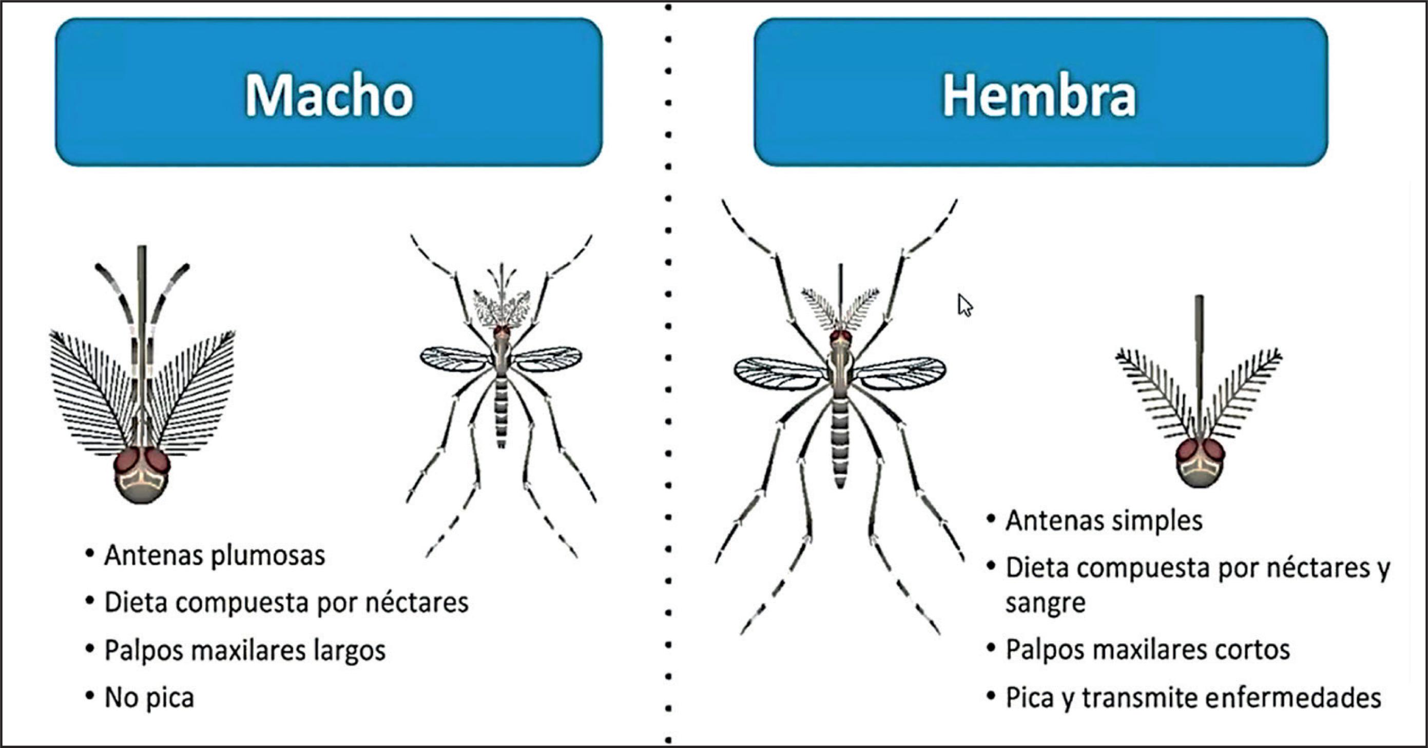 Como a Dieta Afeta a Dor e o Inchaço - inspiração 2