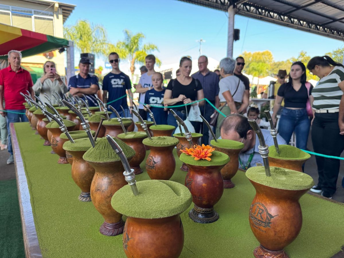 Manutenção e Limpeza da Cuia e Bomba - inspiração 1