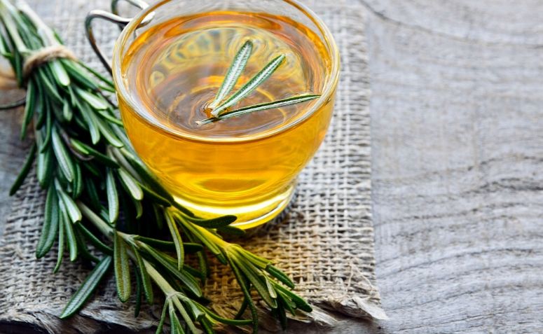 Circulação Sanguínea: Um Fluxo Saudável e Constante - inspiração 2