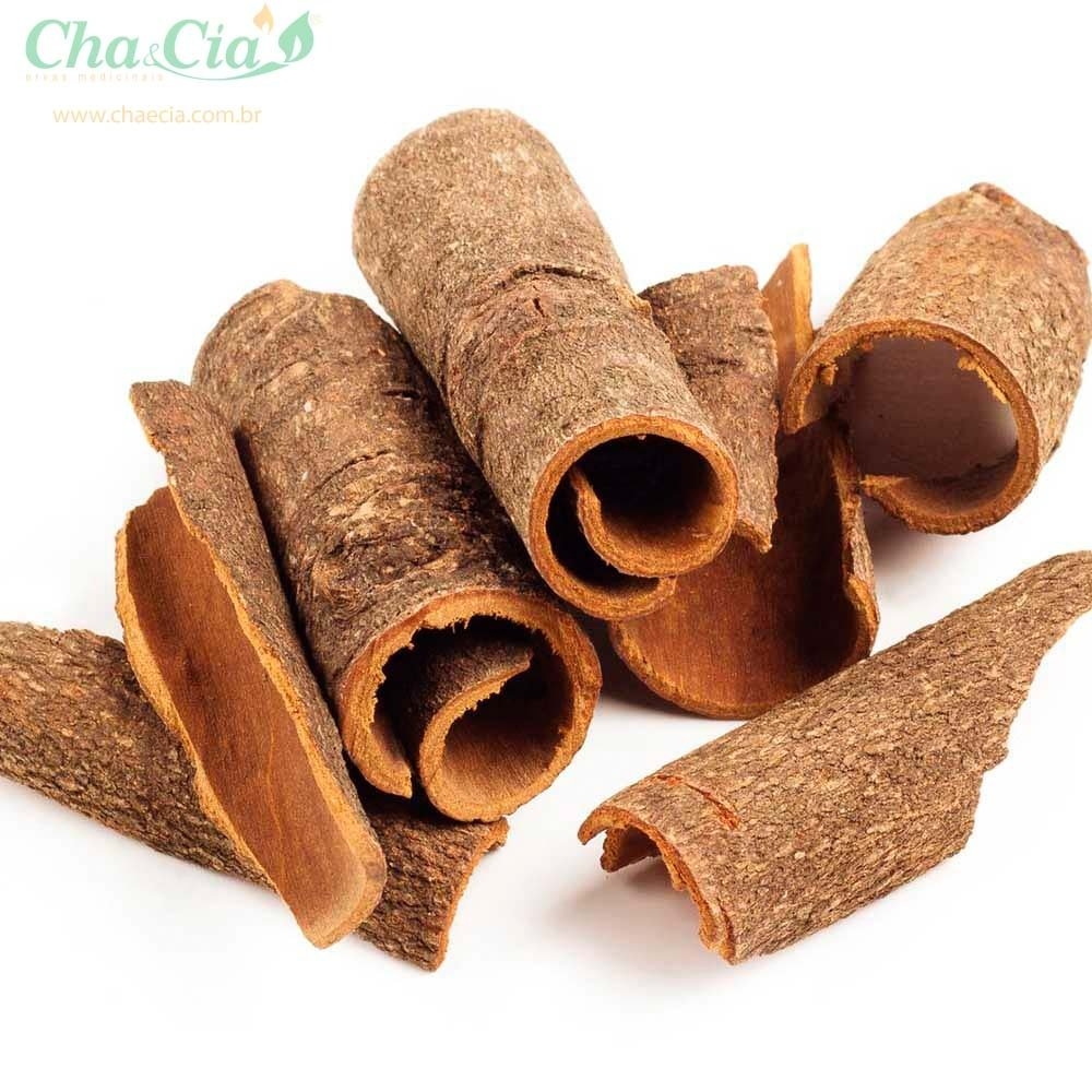 Fortalecimento do Sistema Imunológico: Sua Defesa Diária - inspiração 1