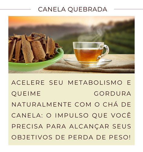 Fortalecimento do Sistema Imunológico: Sua Defesa Diária - inspiração 2