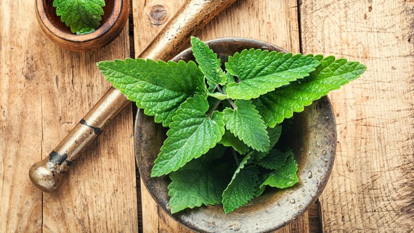 Quais são os principais benefícios do chá de erva-cidreira? - inspiração 2