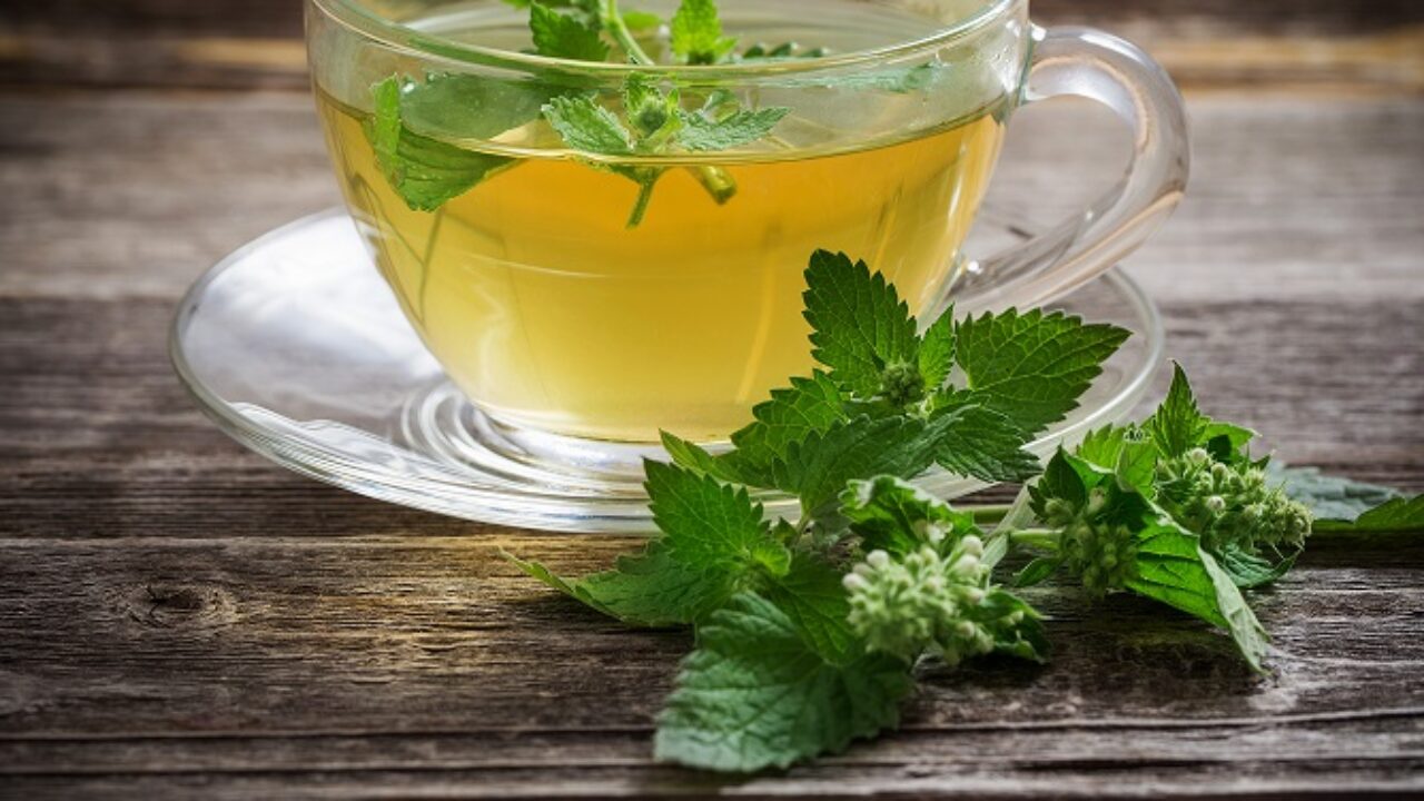 Como preparar um chá de erva-cidreira perfeito? - inspiração 1