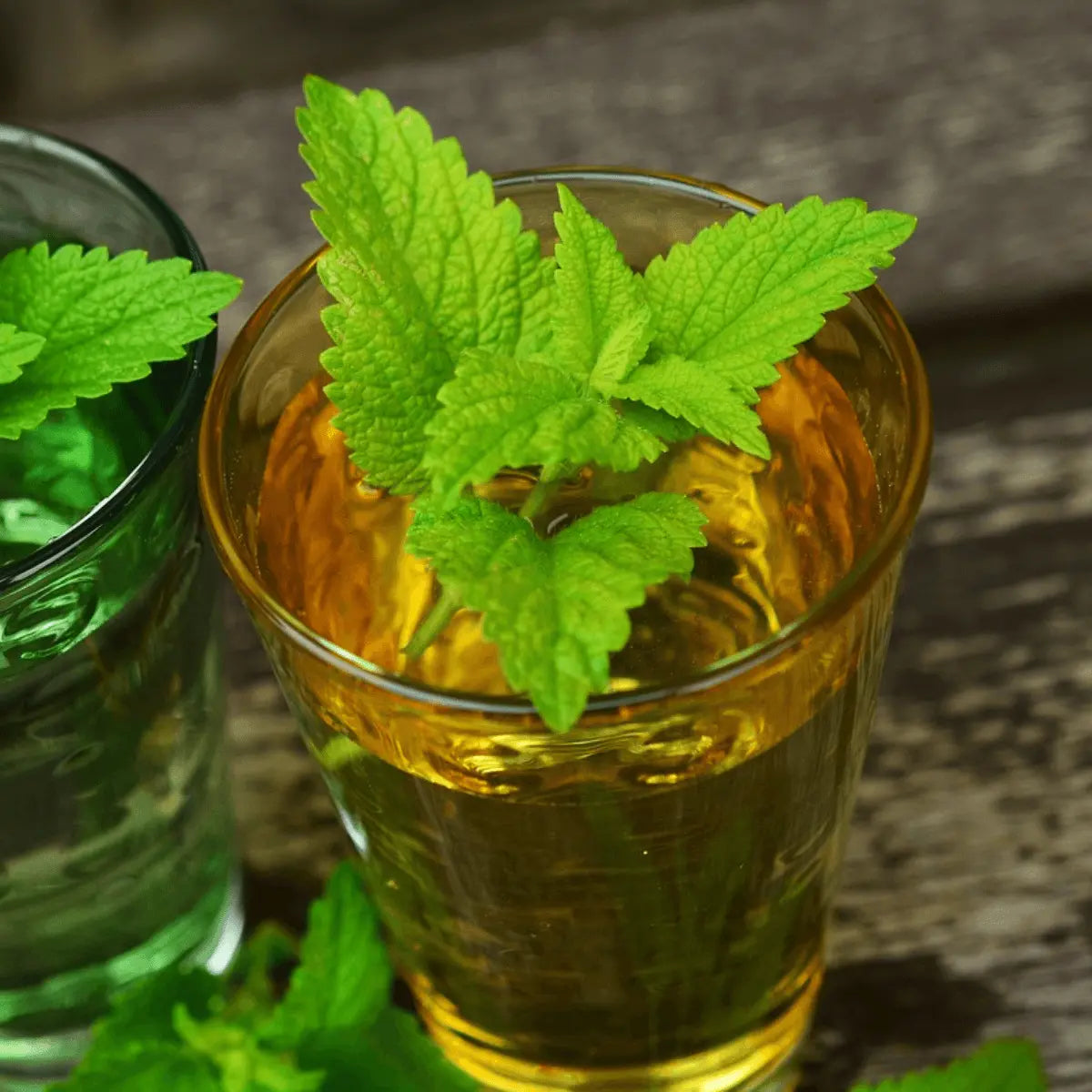 Onde encontrar e como escolher a erva-cidreira ideal? - inspiração 1