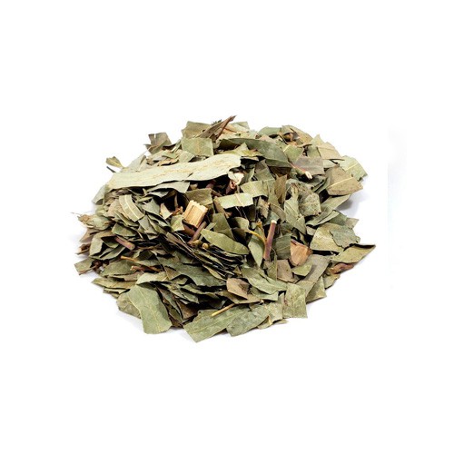 Saúde bucal em foco: como o eucalipto pode ser um aliado para um hálito fresco e gengivas saudáveis. - inspiração 2