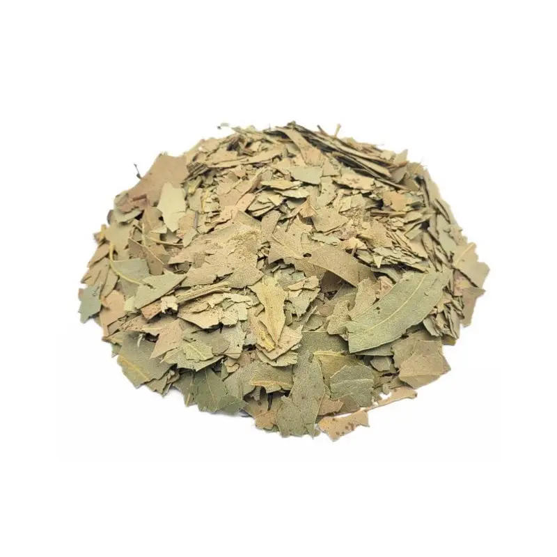 Cuidado com o consumo: quem deve evitar o chá de eucalipto e as precauções necessárias. - inspiração 2