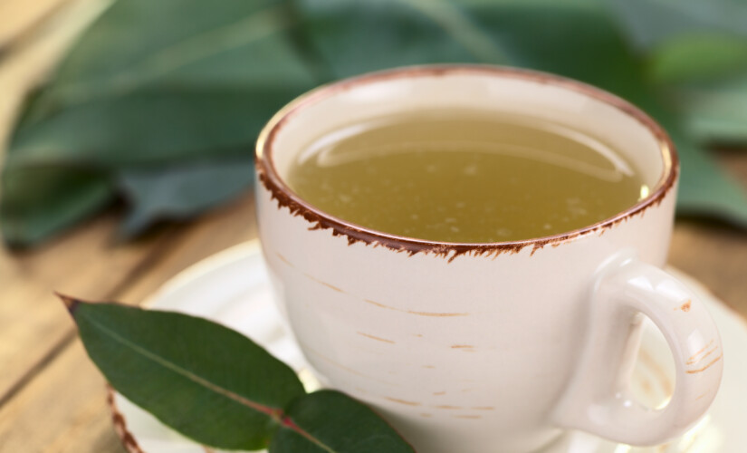 A importância da qualidade das folhas de eucalipto para o preparo do seu chá. - inspiração 2