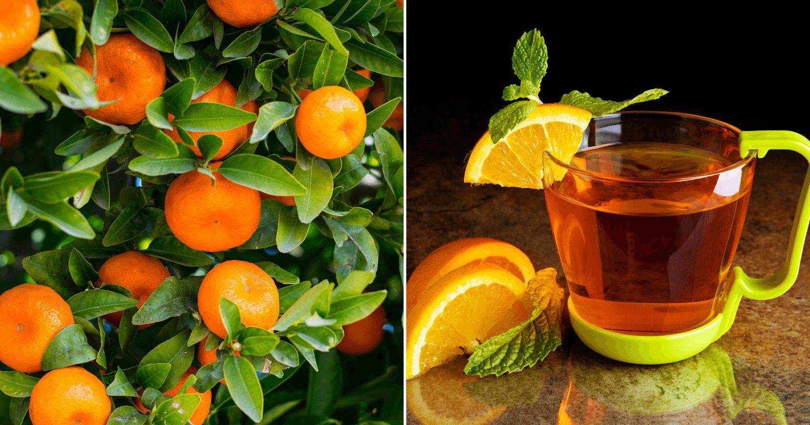 Folha de Laranja Para Que Serve: Além do Sabor Cítrico - inspiração 2