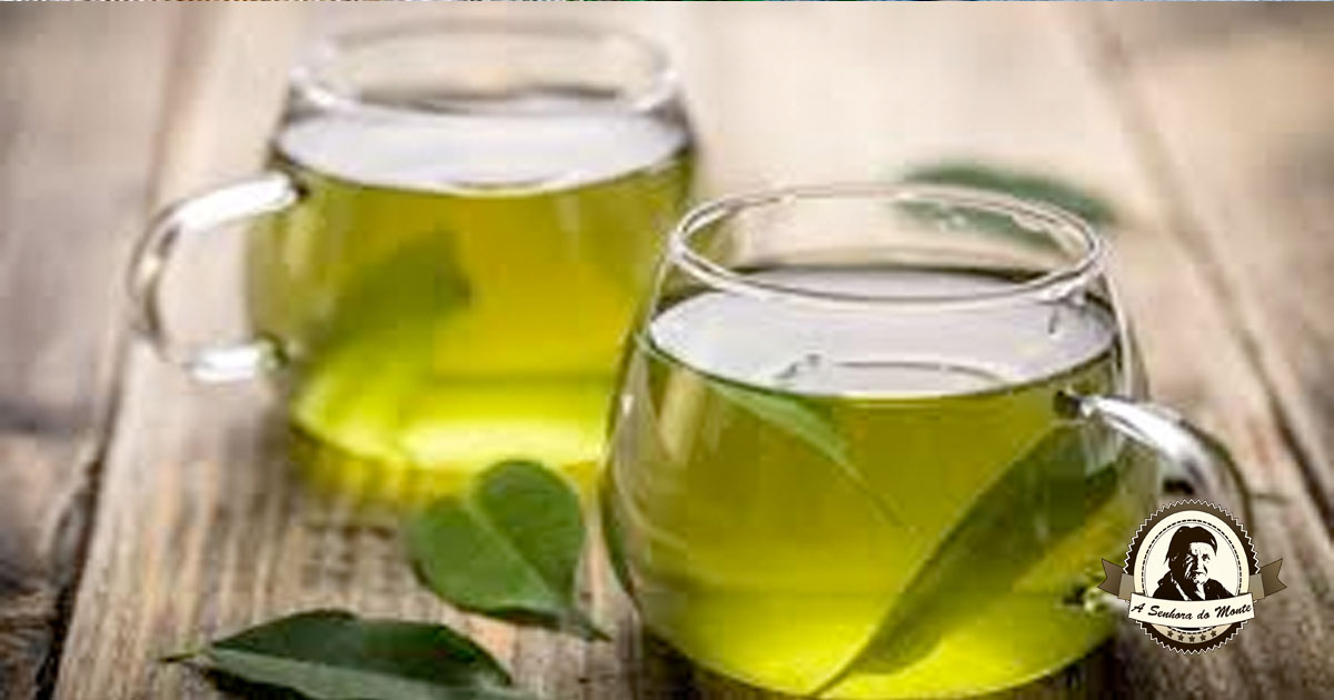 Chá de Folha de Laranja e Gravidez: O Que Você Precisa Saber - inspiração 1