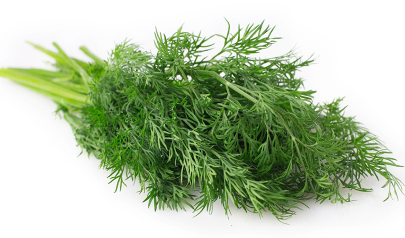 Digestão Leve e sem Inchaço - inspiração 2