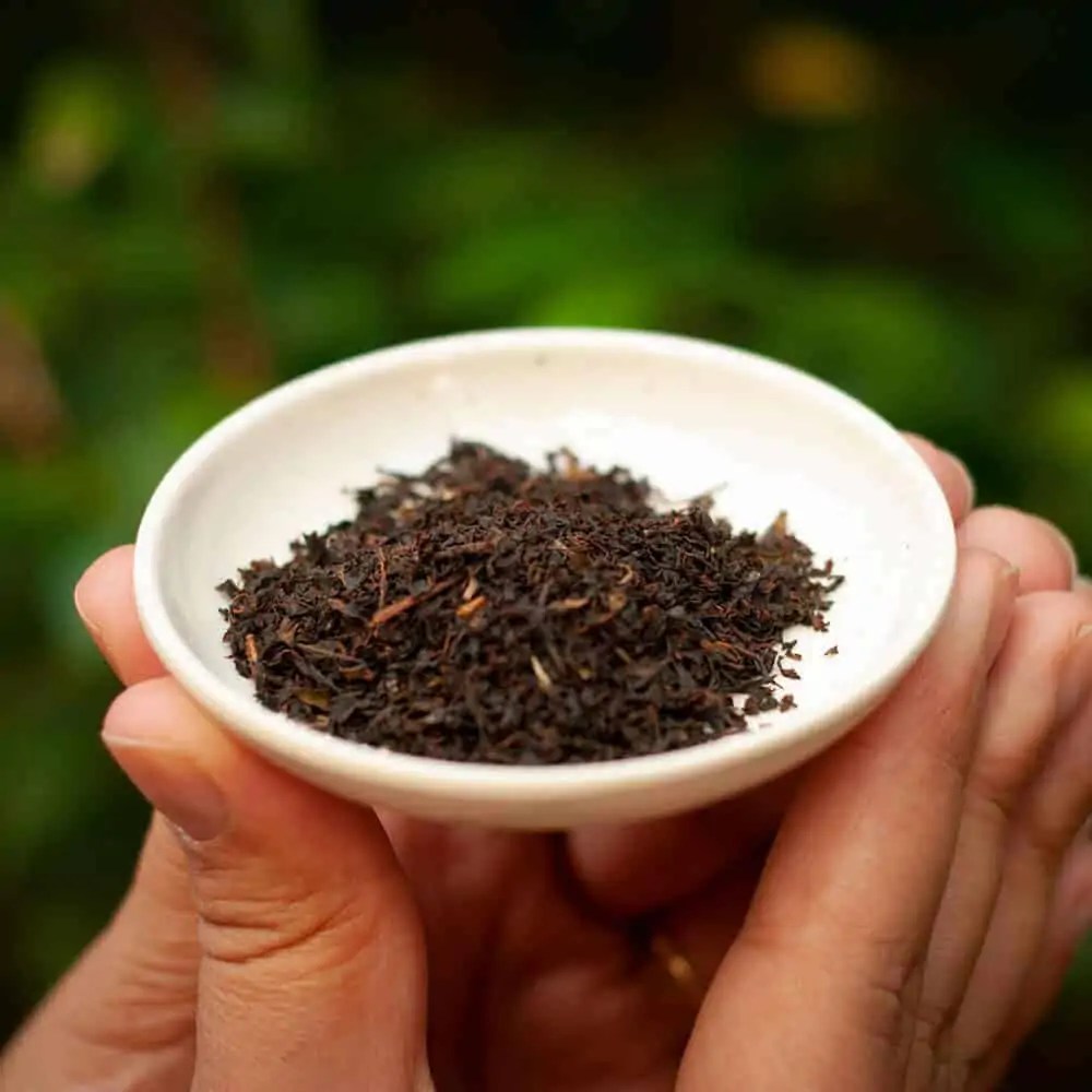 Saúde intestinal em dia: Um intestino feliz para uma vida mais leve - inspiração 2