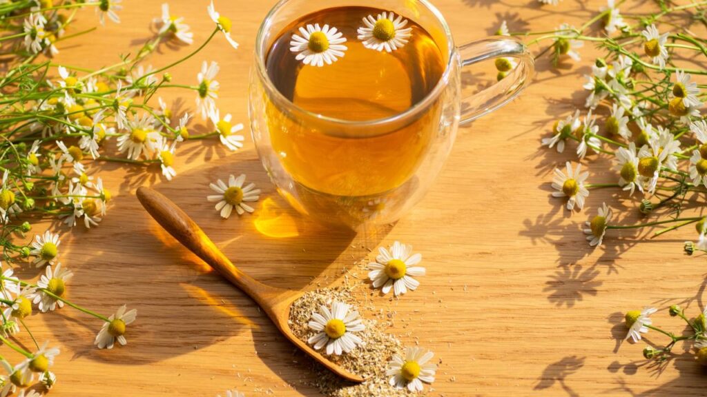 Melissa: Conforto e Paz para o Seu Repouso - inspiração 2