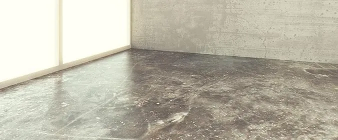 A Versatilidade Que Encanta: Do Piso à Parede - inspiração 1