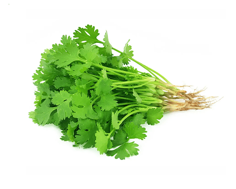 Como Escolher e Conservar Coentro Fresco Por Mais Tempo - inspiração 1