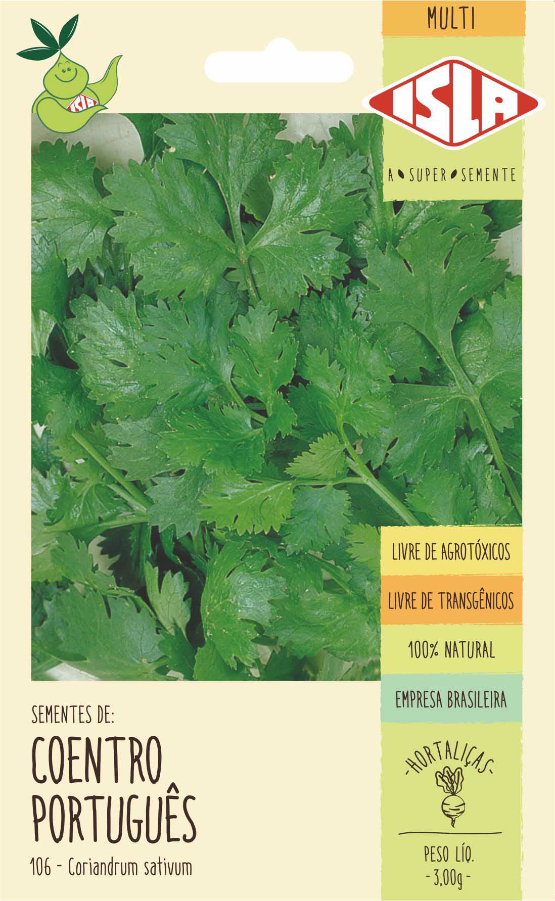 Coentro em Molhos e Pastas: Intensificando Sabores - inspiração 2