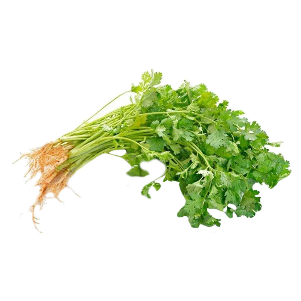 O Coentro em Saladas: Frescor e Aroma Inconfundíveis - inspiração 1