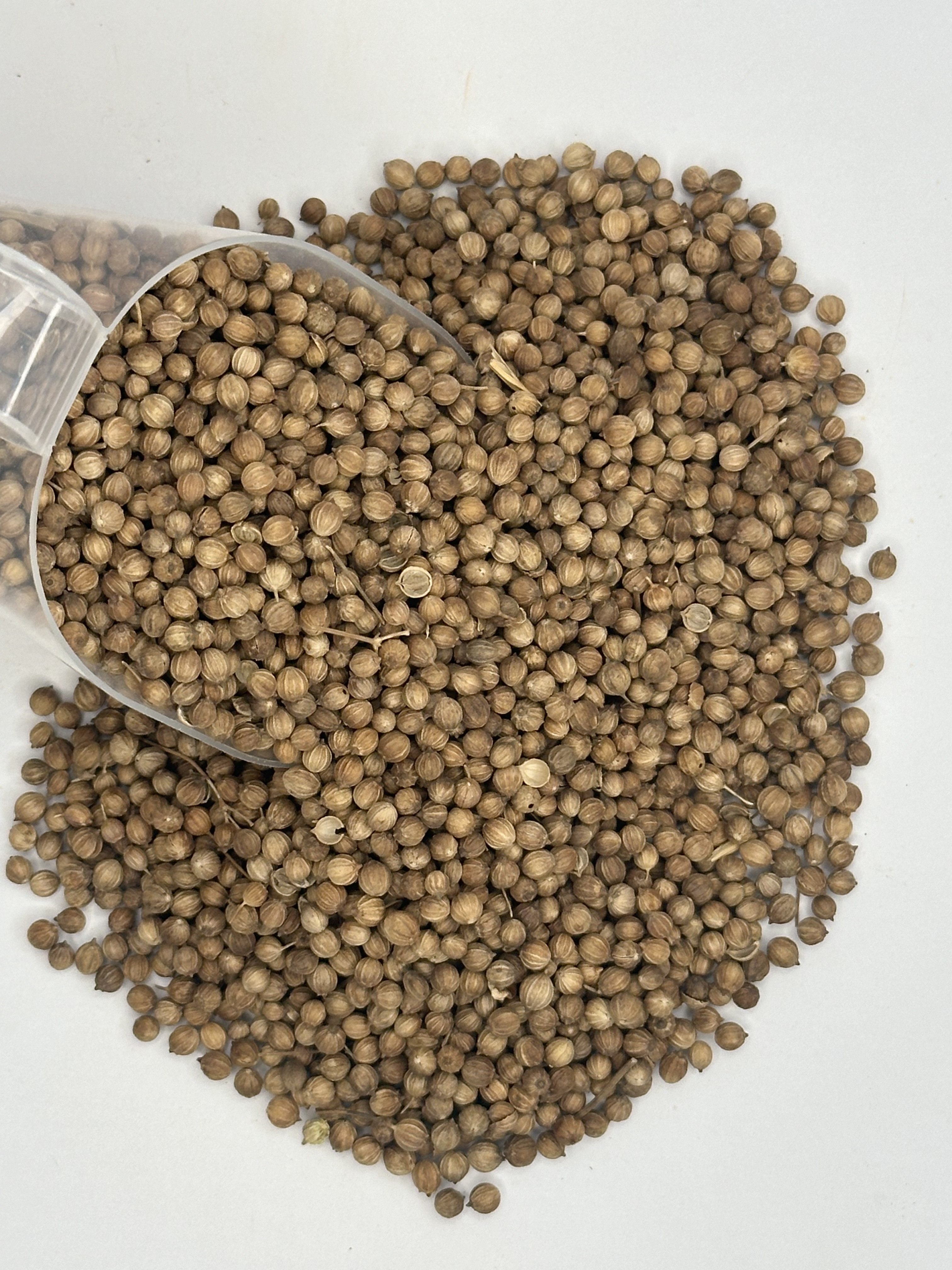 Coentro e Seus Usos Medicinais Populares - inspiração 2