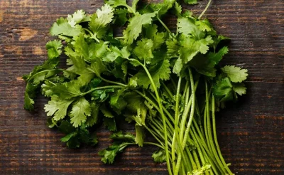 A Harmonia do Coentro com Outras Ervas: Combinações que Você Vai Amar - inspiração 2