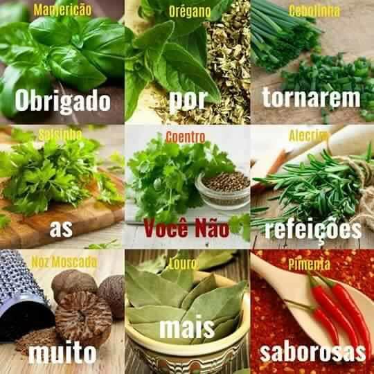 Cozinhando com Coentro Fresco: Dicas para Realçar o Aroma sem Perder a Leveza - inspiração 2