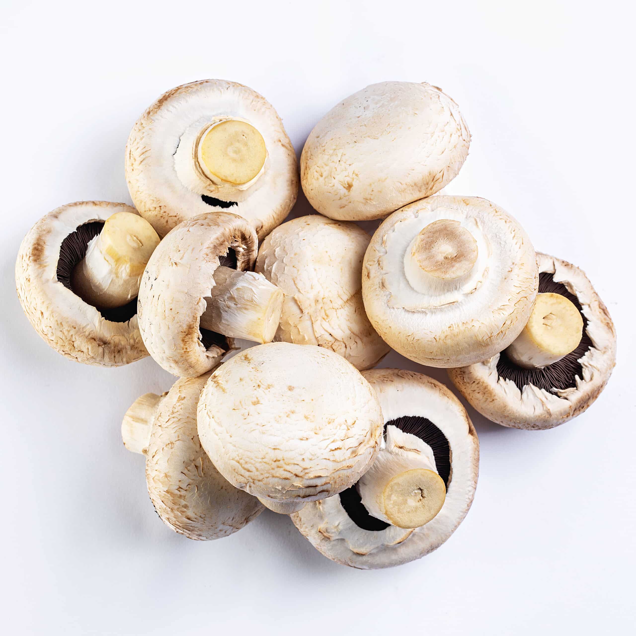 Como o cogumelo paris chega até você: a importância do frescor - inspiração 1