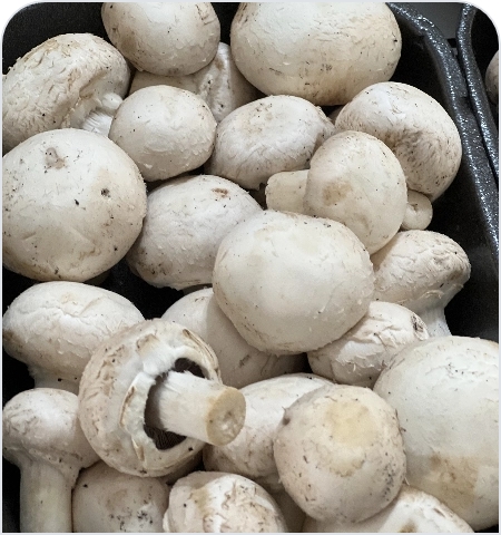 Como escolher o cogumelo paris ideal em qualquer feira ou mercado - inspiração 1