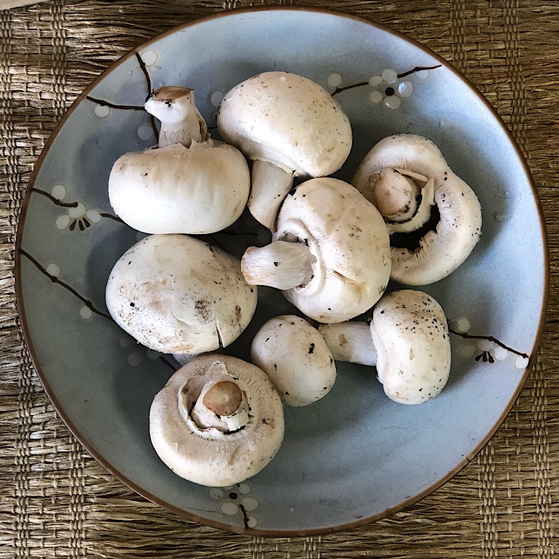 As melhores épocas e locais para encontrar cogumelos frescos - inspiração 1