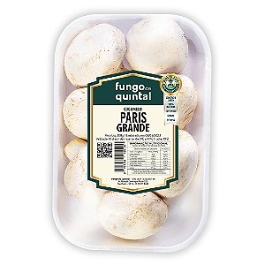 O passo a passo para um cultivo caseiro simples e gratificante - inspiração 1